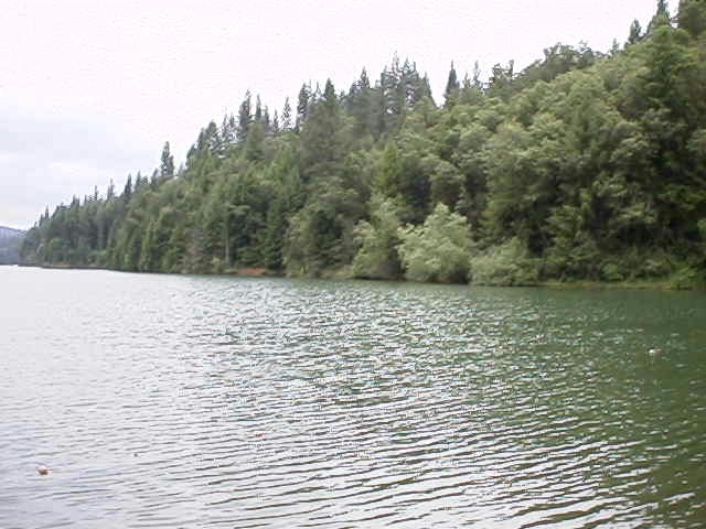 http://www.aboutplacercounty.com/recreation/lakes/rollins/2.jpg